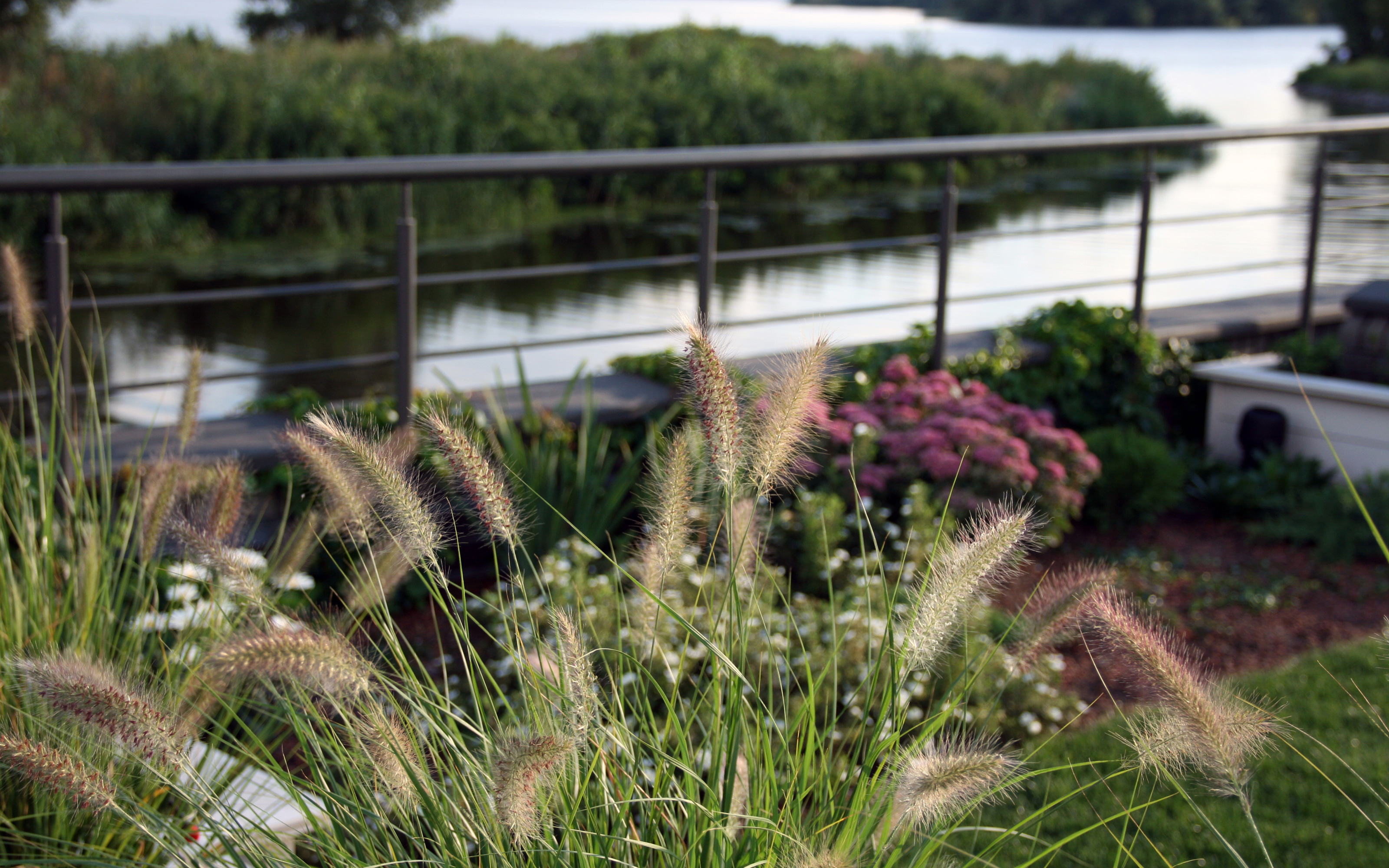 The ensemble of green roof and surrounding landscape provides a picturesque view. Green roof with lawn, shrubs and ornamental grasses
